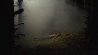 有时我会思索死亡 photo