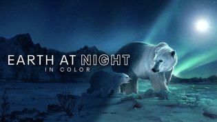 Earth at Night in Colour photo