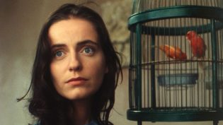 亚伯拉罕山谷 photo