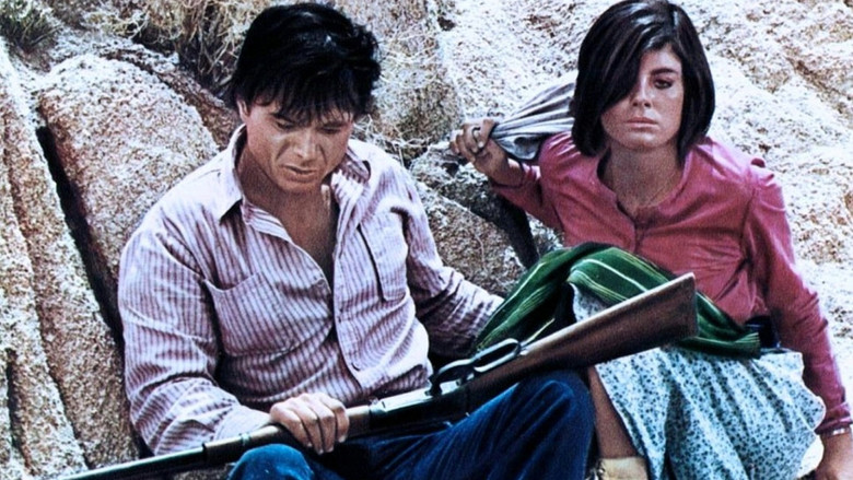追凶三千里 photo