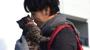 假如猫从世界上消失了 photo