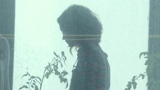 我和厄尔以及将死的女孩 photo