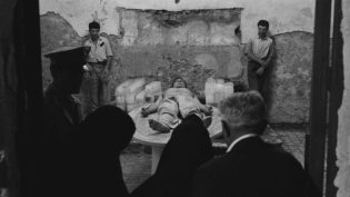 龙头之死 photo