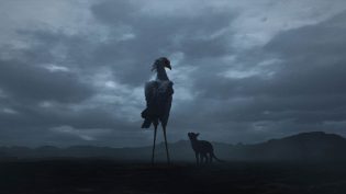 猫猫的奇幻漂流 photo