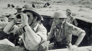 沙漠之鼠 photo