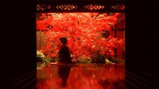 花魁 photo