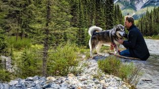 Hero Dog: The Journey Home photo