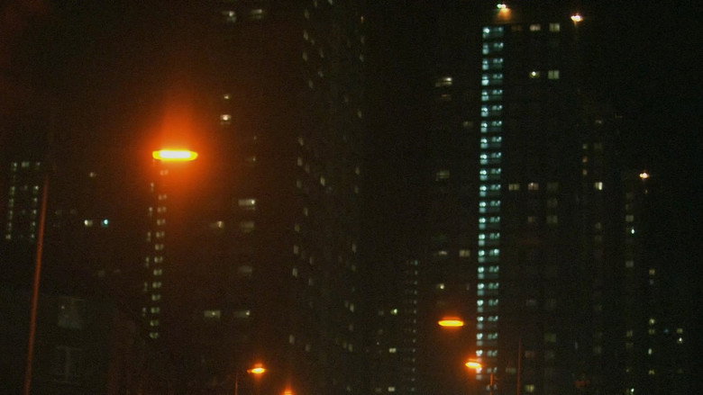 红色之路 photo