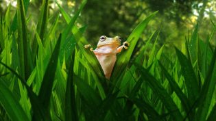 Tiny World photo