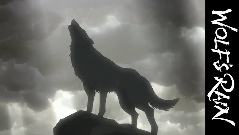 狼雨 photo
