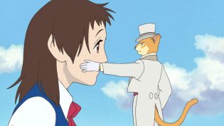 猫的报恩 photo