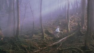 超凡神树 photo