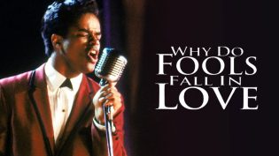Why Do Fools Fall In Love photo