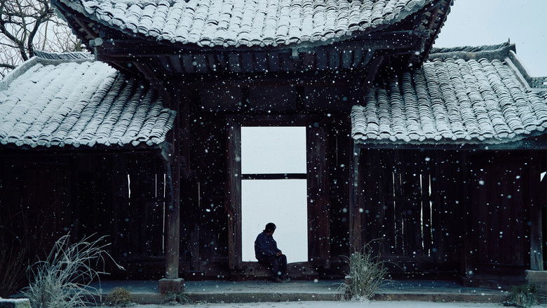 狂野时代 photo