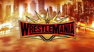WWE 摔角狂热 35 photo