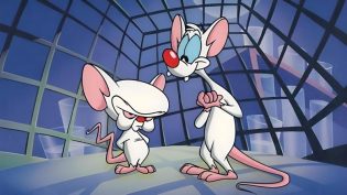 Pinky and the Brain photo