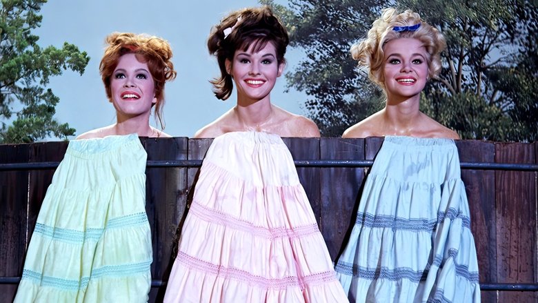 Petticoat Junction photo