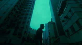 狗咬狗 photo