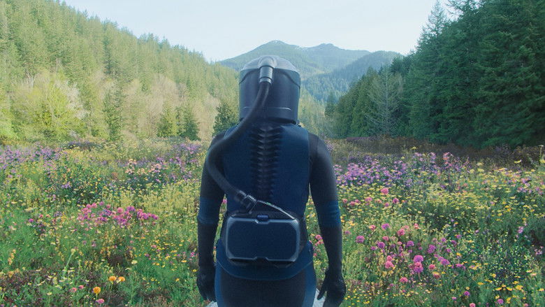 眨眼之间 photo
