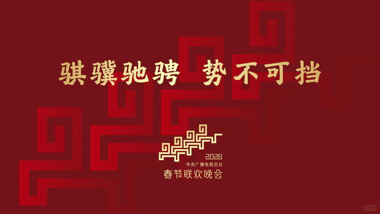 中央广播电视总台春节联欢晚会 photo