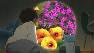 精灵宝可梦 破晓之翼 photo