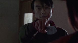冰冷热带鱼 photo