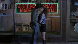 疯狂二十年华 photo