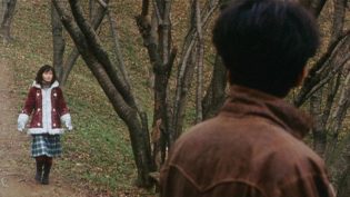 超凡神树 photo