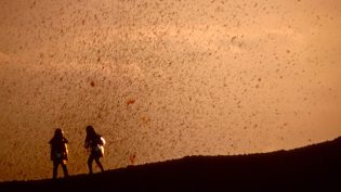 火山挚恋 photo