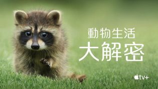 动物的秘密生活 photo