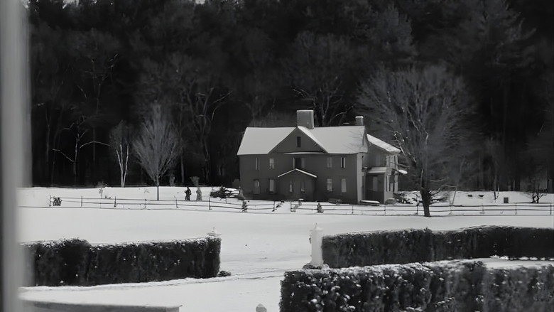 小妇人 photo