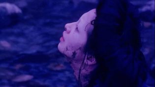 双生儿 photo