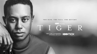 Tiger photo