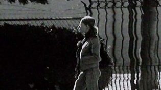 波基普西录像带 photo