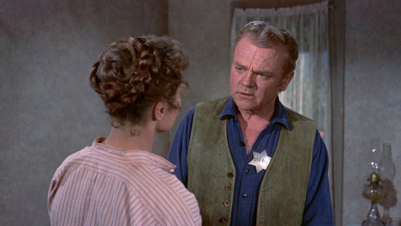 寻求庇护 photo