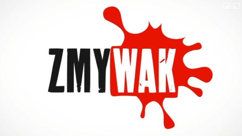 Zmywak photo