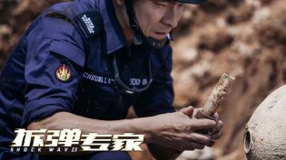 拆弹专家 photo