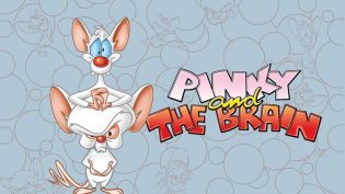 Pinky and the Brain photo