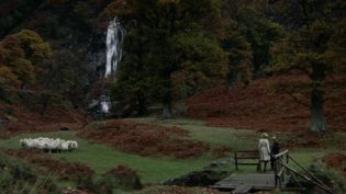 幻象 photo