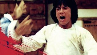 龙拳 photo