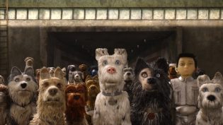 犬之岛 photo