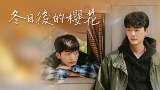冬后是樱花 photo