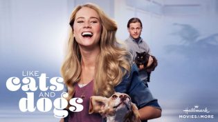 Like Cats & Dogs photo