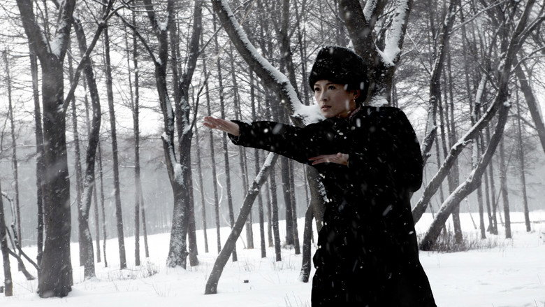 一代宗师 photo