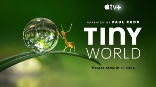 Tiny World photo