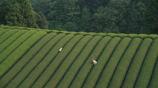 殡之森 photo