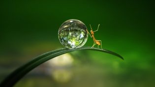 Tiny World photo