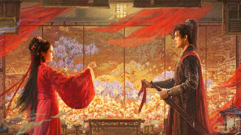 白日提灯​ photo