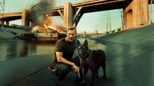 神探忠犬 photo