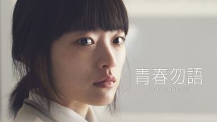 韩公主 photo